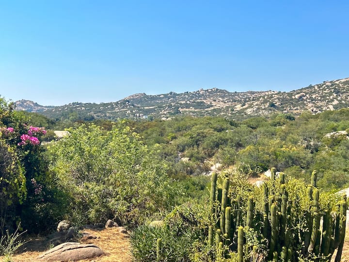 Dragontree- A Place To Slow Down - San Diego, CA