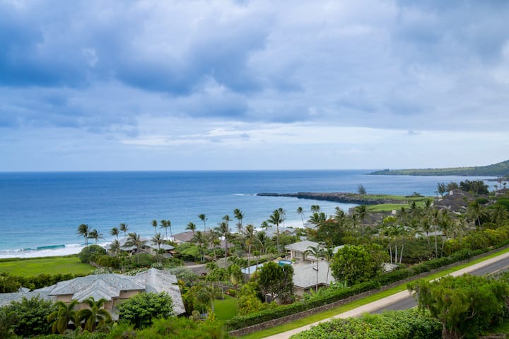 Kapalua Ridge Villas Gold Ocean View 1bd/2ba - Kapalua, HI