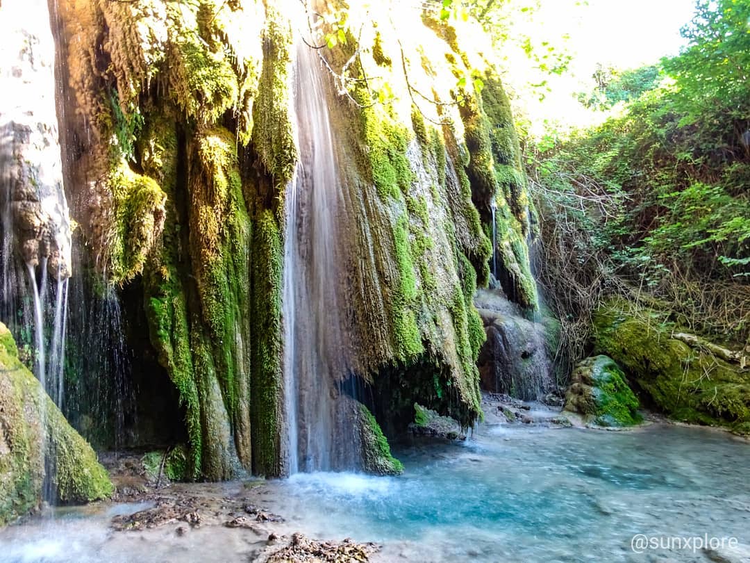 A serene waterfall cascades over a moss-covered rocky surface, creating a gentle flow into a clear, shallow pool. Lush greenery surrounds the area, adding to the natural beauty and tranquility of the scene.