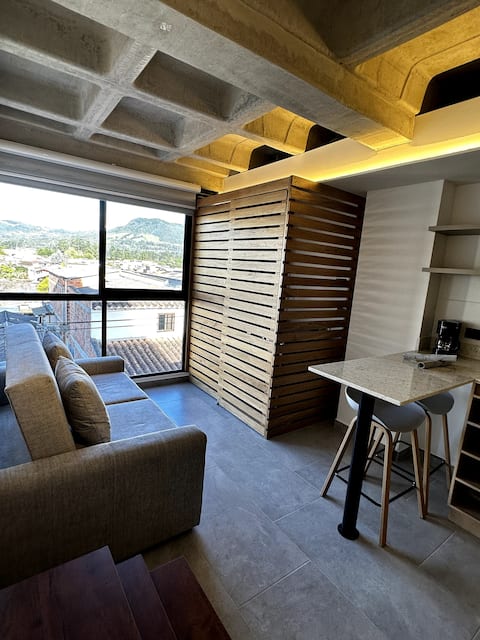 C402- loft, 1 bedroom, 1 bathroom, 1 TV, sofa bed, Wi-Fi
