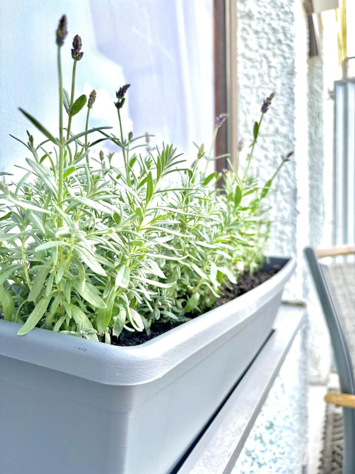 * شقة مركزية مع شرفة * صورة 1