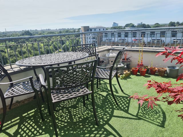 Penthouse with a view