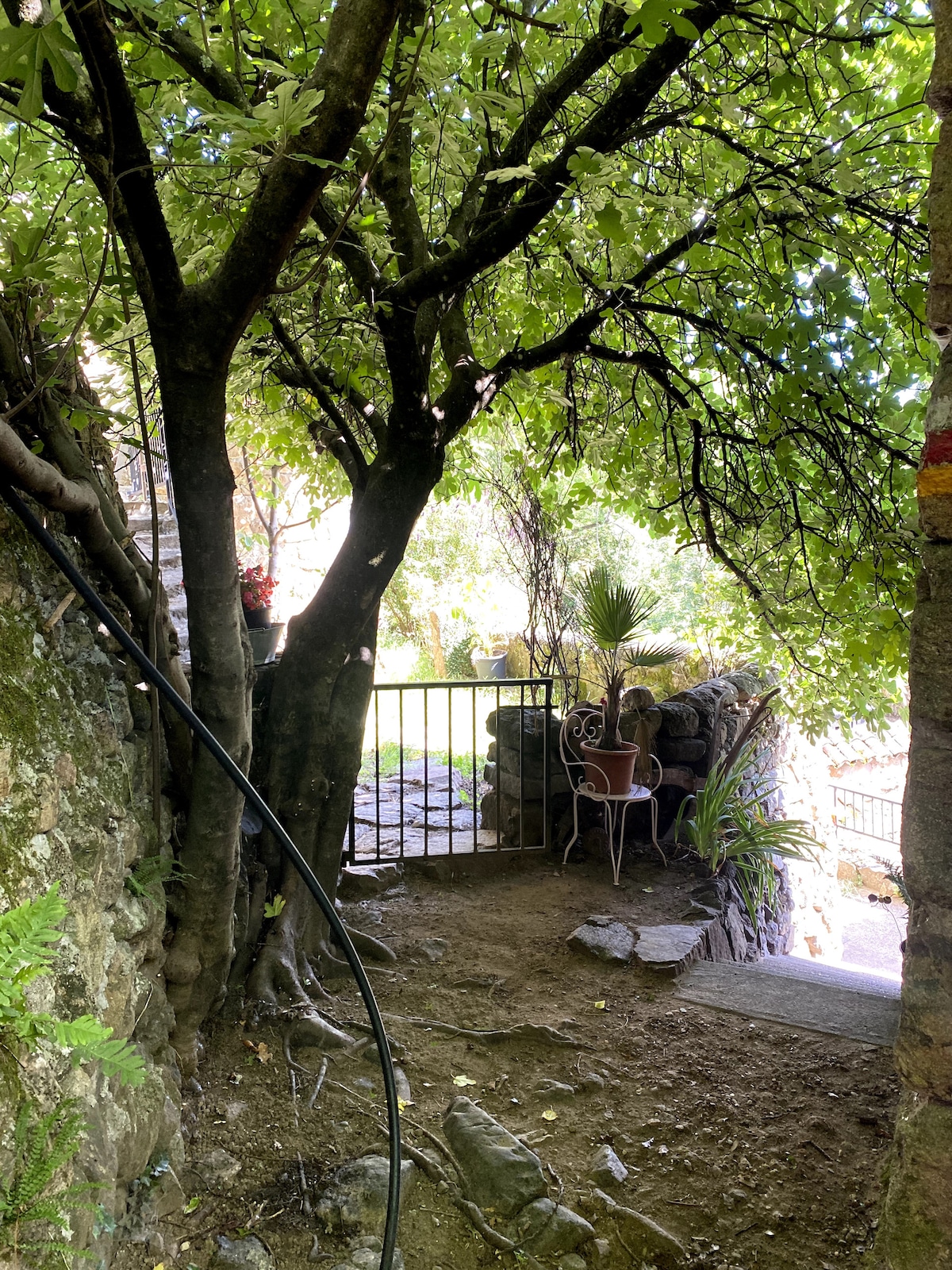 A charming outdoor space features a stone pathway leading to a gated entrance. Green foliage offers natural shade, while a small chair sits invitingly beside a stone wall. The area is surrounded by lush plants, adding to the tranquil ambiance.
