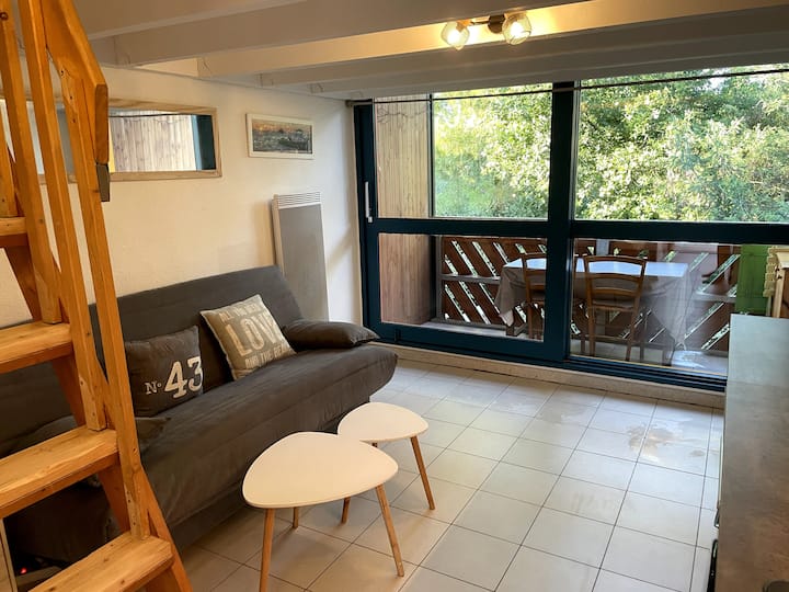 Duplex : Pins, Bassin Et Océan. - Lège-Cap-Ferret