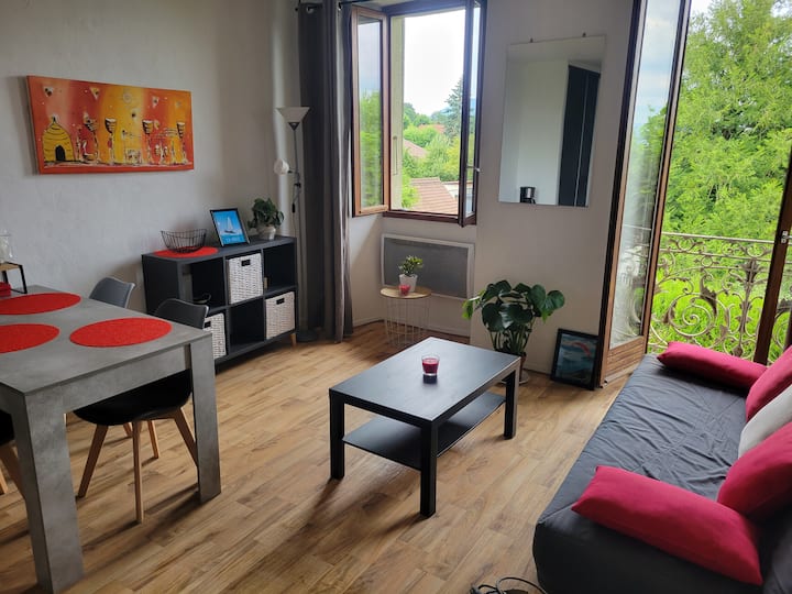 A Louer Annecy Le Vieux Appartement T2 Au Calme - Veyrier-du-Lac