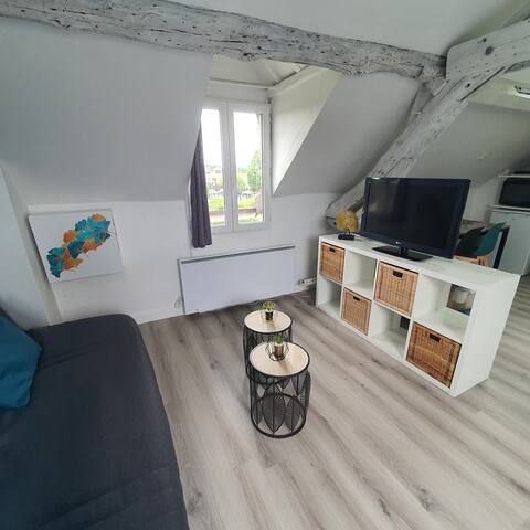 Popular Airbnb listing: Charming studio apartment in Moret Loing Et Orvanne
