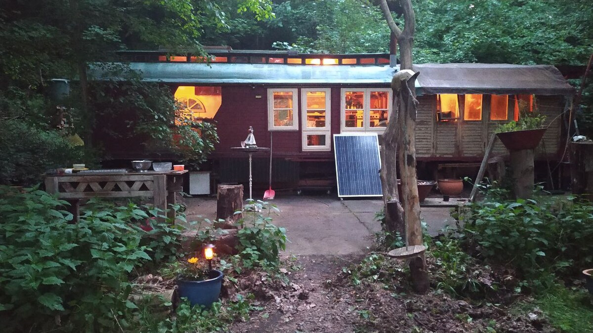 The exterior of a rustic wagon is showcased, nestled among greenery. Warm light emanates from the windows, illuminating the surroundings. A small wooden platform and various plants add natural charm. The pathway is lined with trees, creating a peaceful atmosphere.