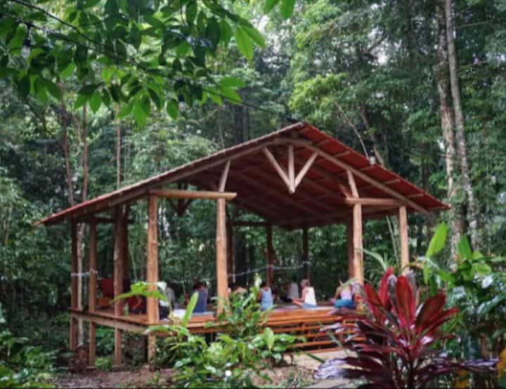 The Surf Shack at LA SELVA + free daily yoga!