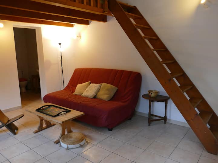Casa Alicia - Salon-de-Provence