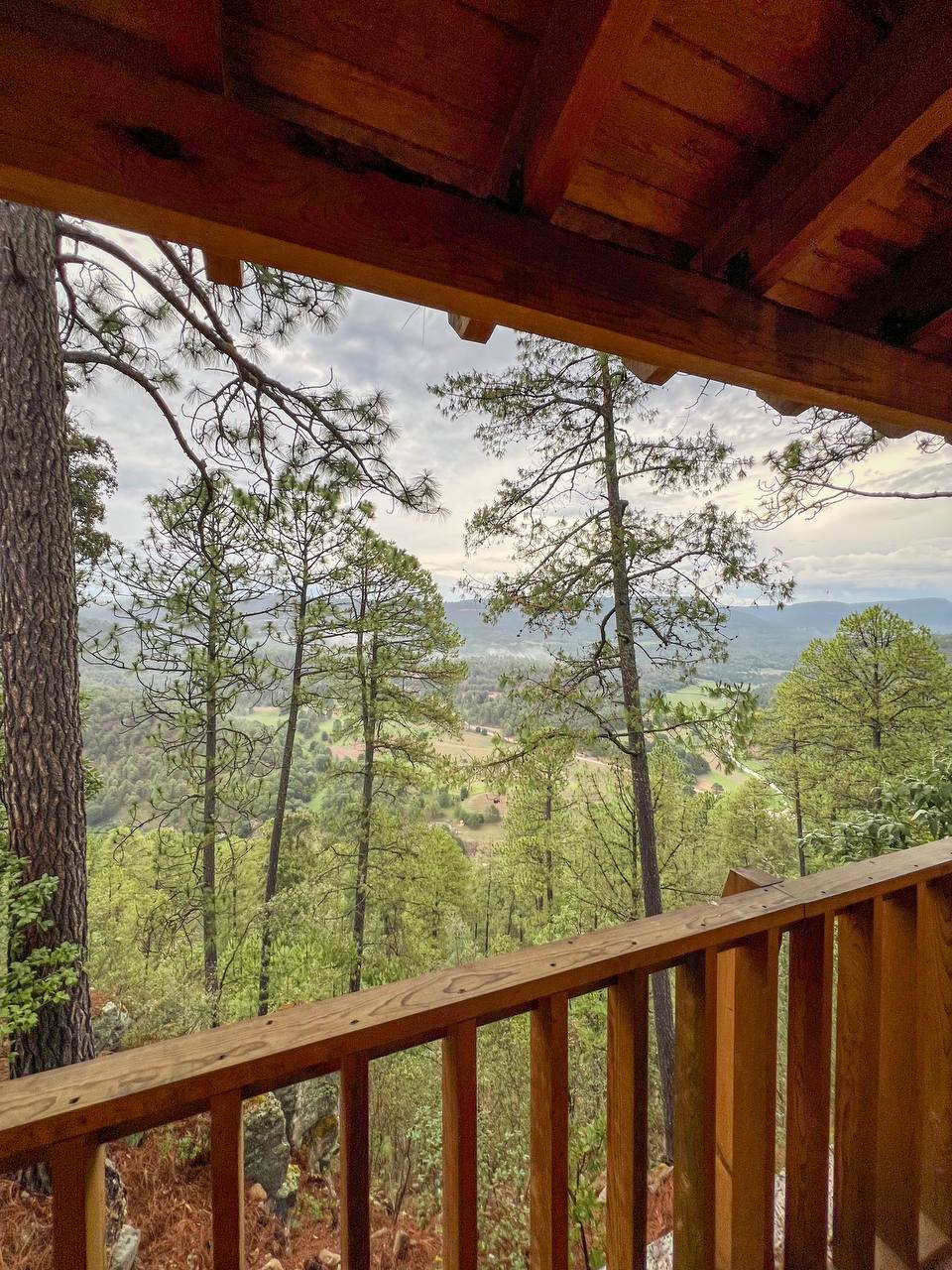 A wooden balcony offers a view of a lush landscape filled with tall pine trees and rolling hills. The scene captures the tranquil beauty of nature, with varying shades of green and distant mountains visible under a cloudy sky.