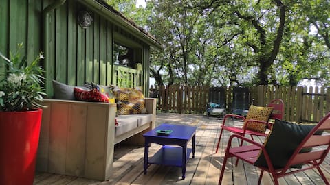 In the middle of the trees