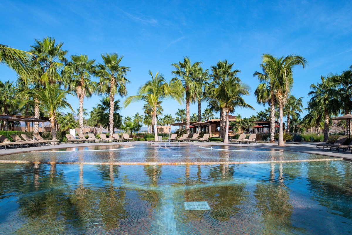An inviting swimming pool is surrounded by vibrant palm trees and lounge chairs. The water reflects the clear blue sky, while shaded areas are provided by canopies nearby. The scene suggests a tranquil setting ideal for relaxation and enjoying the outdoors.