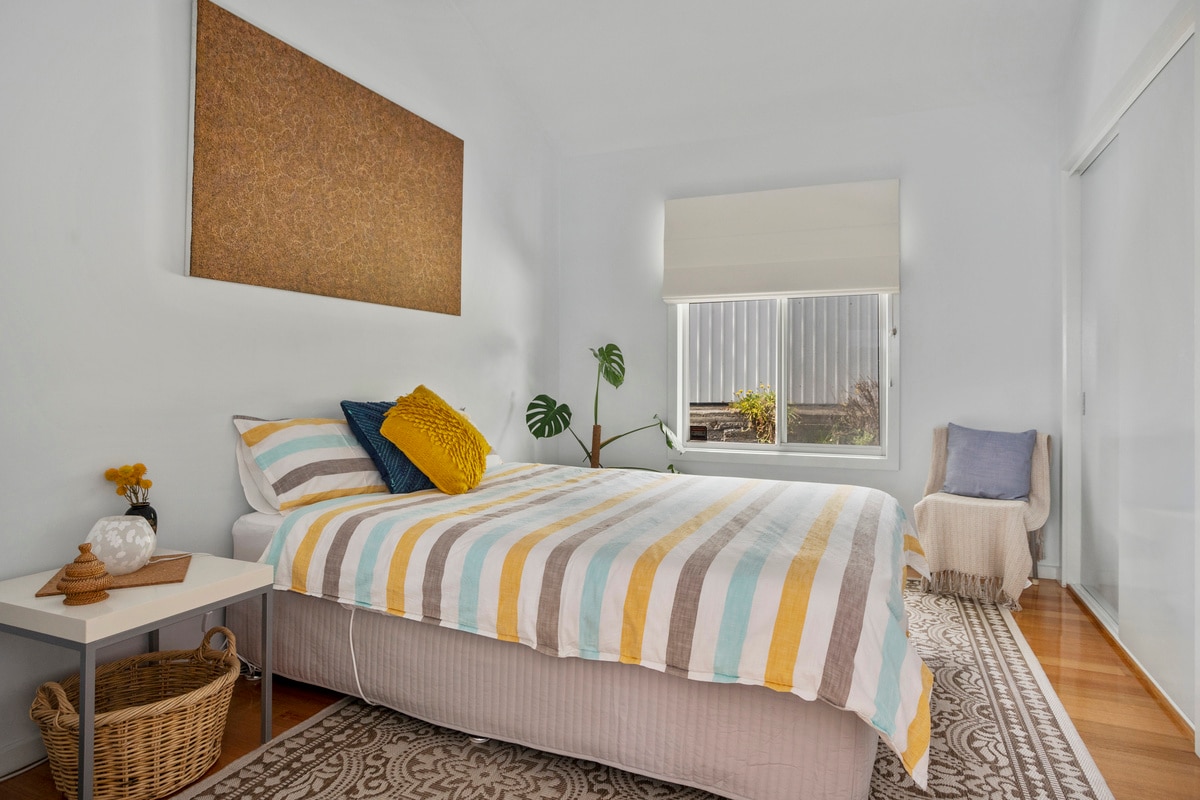 dolphin electric blanket