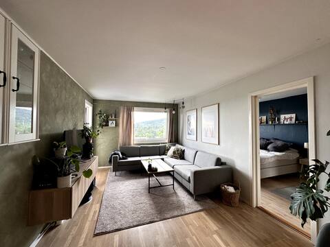 Top performing Airbnb: 15 min from the city center, right next to the subway and playgrounds in Grorud
