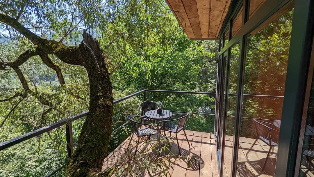 A private balcony is surrounded by lush green foliage, featuring a round table and four chairs. The natural elements of the tree are integrated into the space, providing an organic feel and an immersive outdoor experience.