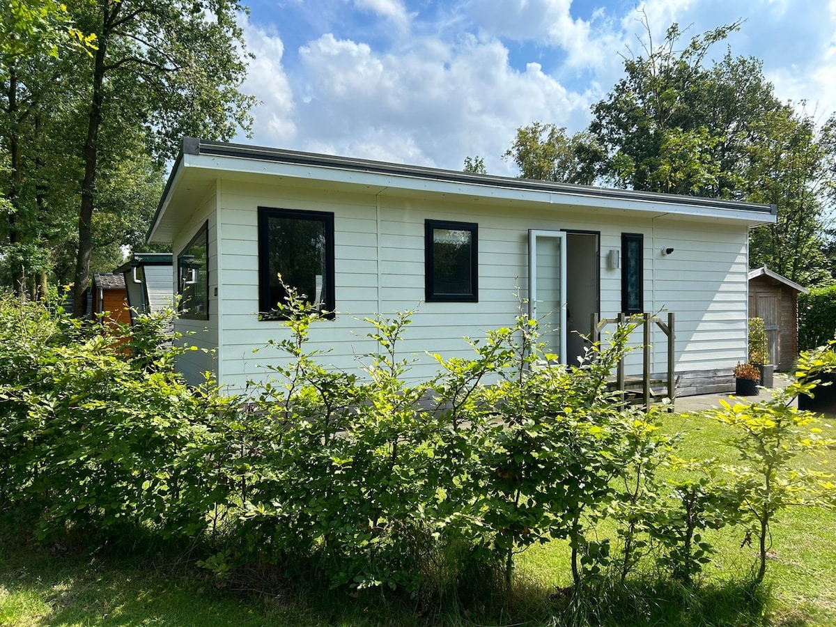 A single-story chalet is surrounded by green shrubbery and soft grass. Large windows allow natural light to fill the interior, while a door leads to a small wooden deck. Trees and other greenery are visible in the background, contributing to a calm outdoor setting.