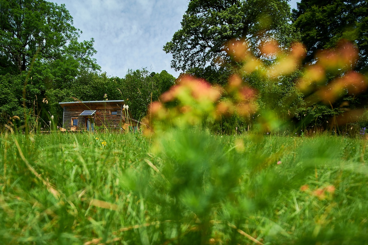 A rustic cabin is nestled among lush greenery, framed by tall trees. The surrounding meadow features diverse wildflowers, adding vibrant colors to the natural landscape. A clear sky with scattered clouds completes the serene outdoor setting.