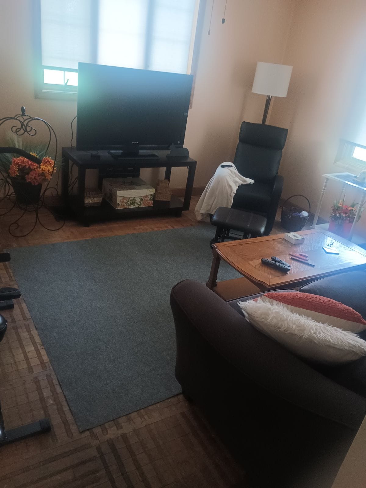 A cozy living area features a dark sofa with a decorative pillow, accompanied by a wooden coffee table and a sleek black chair. A television is situated on a console, while a potted plant adds a touch of color to the room. Natural light filters through window treatments.