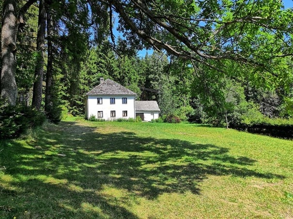 A two-story house is surrounded by lush greenery and tall trees. The white exterior is complemented by a gray roof and features multiple windows. A spacious yard is visible in front, providing a serene and open landscape.