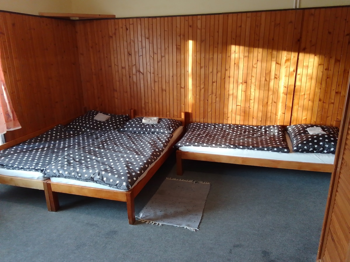 A cozy sleeping area is presented with two wooden beds, each dressed in dark bedding featuring white polka dots. Sunlight filters in, casting warm light across the wooden paneling and floor. A small area rug is placed on the carpeted floor.