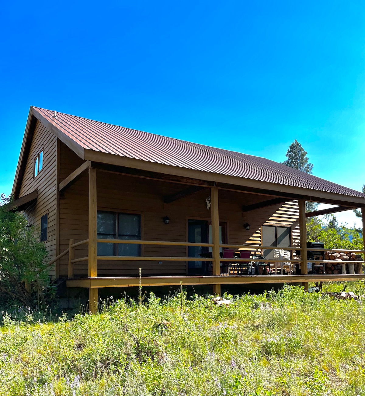 The cabin exterior is shown with a wooden facade and a pitched metal roof under a clear blue sky. A spacious front porch features seating options for relaxation, surrounded by lush greenery and natural landscaping.
