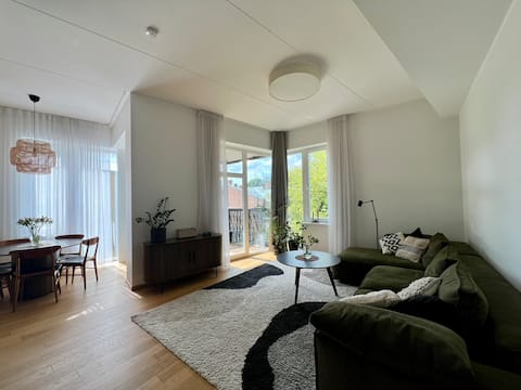Spacious apartment in Karlova