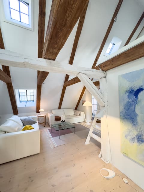 Top Airbnb: Unique penthouse in historic warehouse in the city center in Indre By