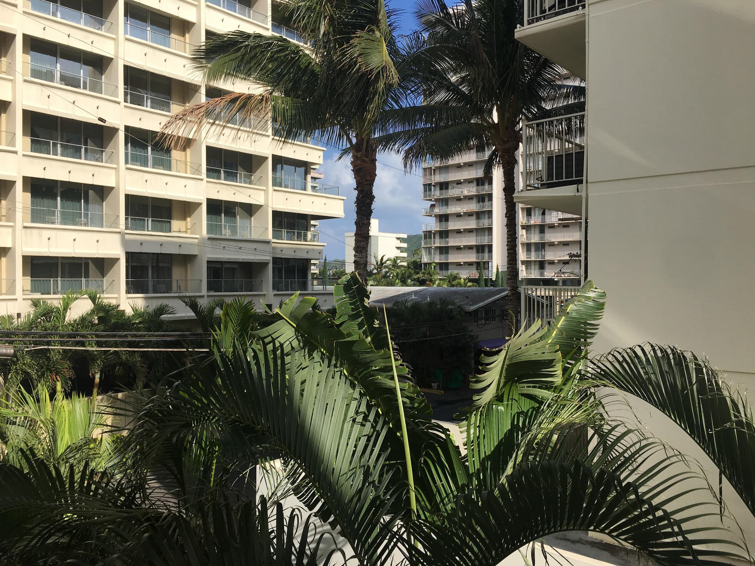 Cabana 302 - 2 Blocks from the beach - Photo 28