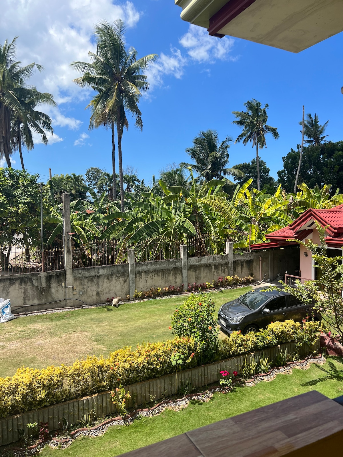 A view from the window showcases a lush garden with green foliage and flowering plants. Tall palm trees stand against a bright blue sky. A parked vehicle is positioned on a well-maintained lawn, enhancing the peaceful atmosphere outside.