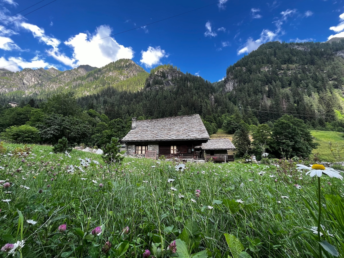 Walser Haus Bluchalet 借りられるシャレー グレッソネイサンジャン, Aosta Valley, イタリア