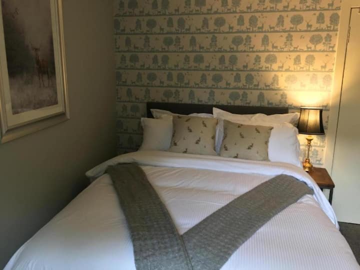 Standard Double Room - 덤프리스