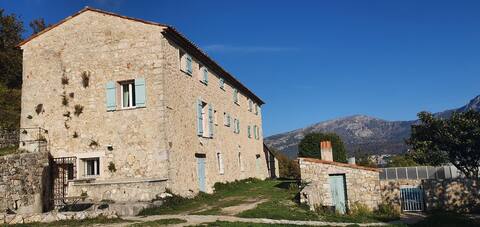 Le Colombier #3