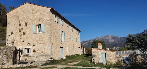 Le Colombier #3