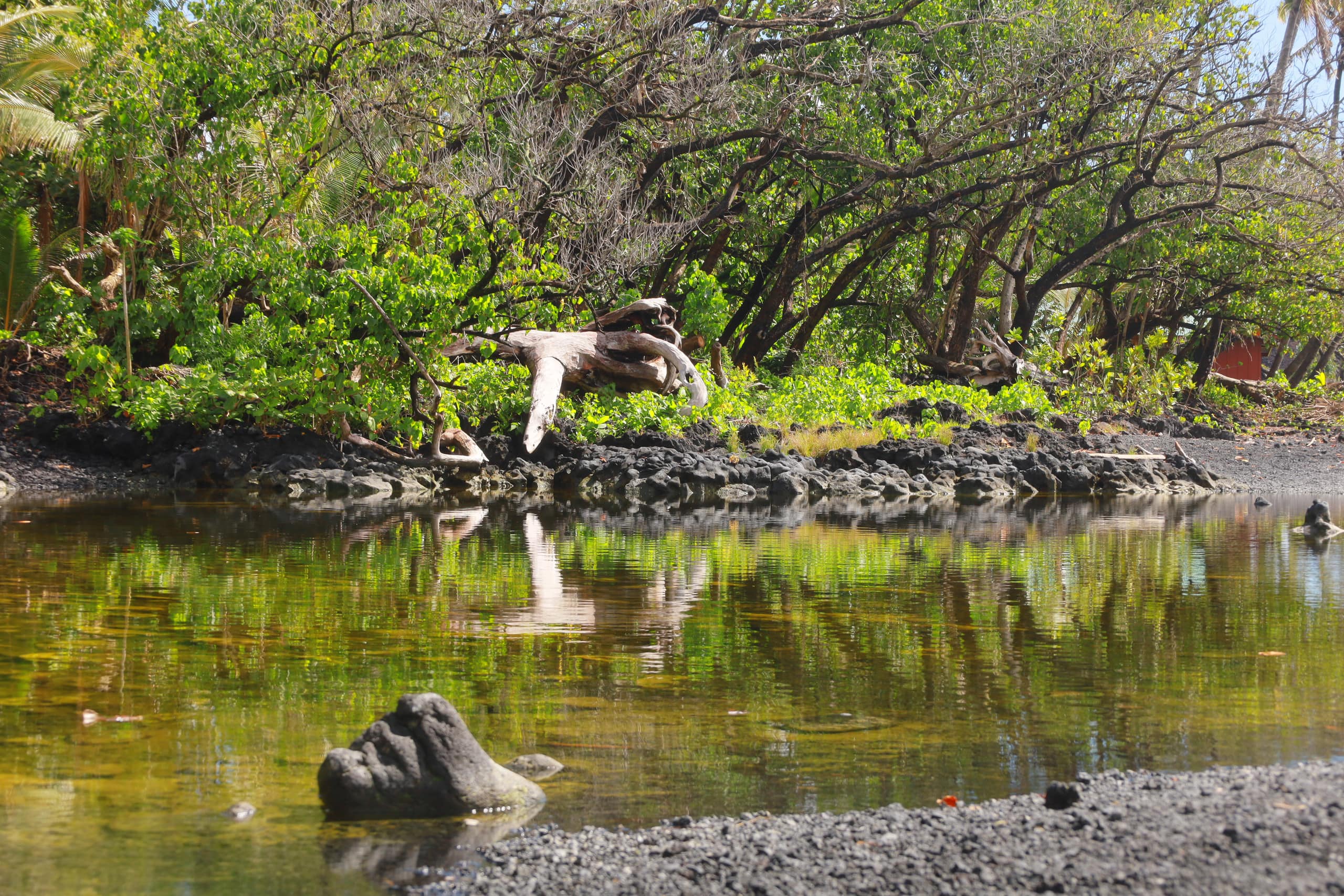 Oceanview Kehena Black Sand Beach House - spa/pool - Photo 59