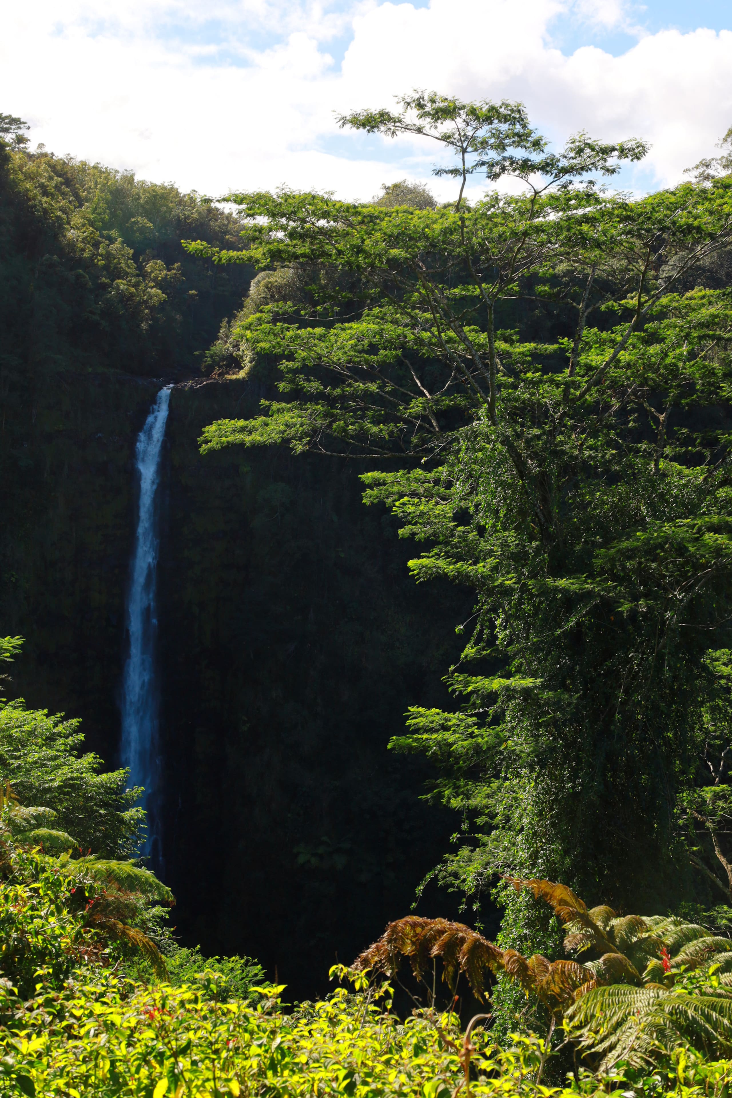 Oceanview Kehena Black Sand Beach House - spa/pool - Photo 47