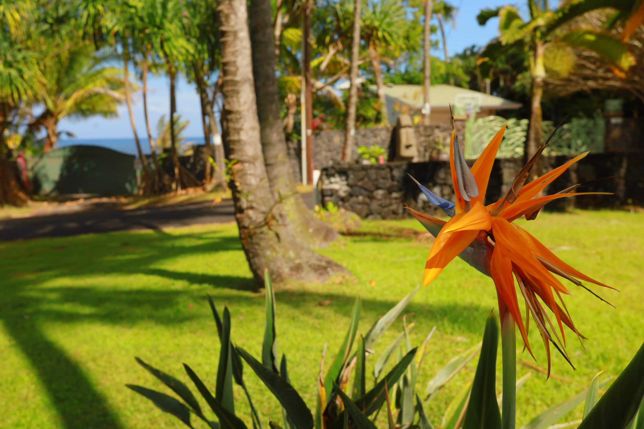 Oceanview Kehena Black Sand Beach House - spa/pool - Photo 60