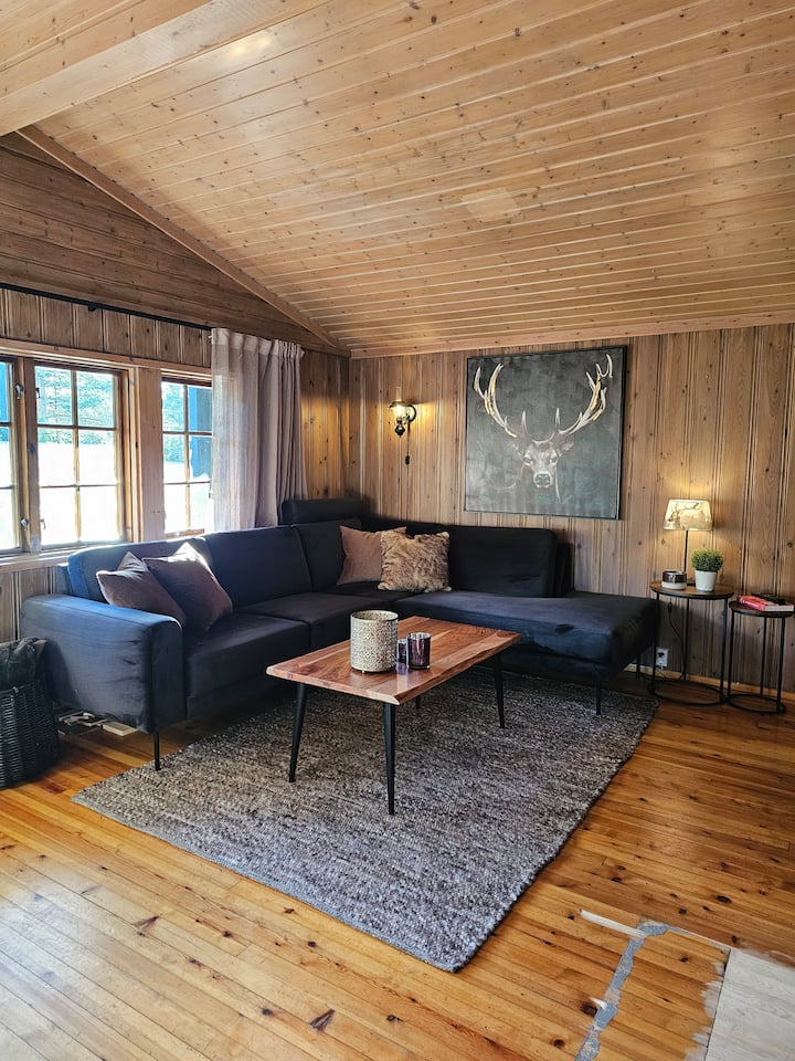 Koselig, Modernisert Hytte - Norwegen