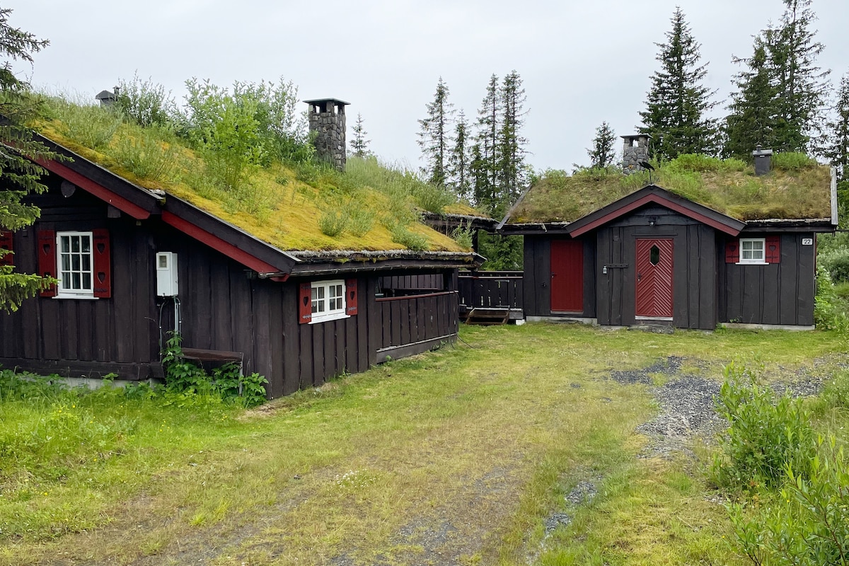 Two rustic cabins with green roofs are surrounded by lush grass and trees. The buildings feature dark wood exteriors and accents in red. A stone pathway leads to the entrance of each cabin, creating a peaceful outdoor space.