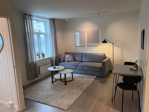 Top Airbnb: Cozy apartment in the city center in Ålesund