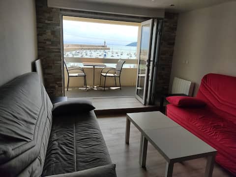 Top performing Airbnb: Beautiful sea views in Binic étables Sur Mer