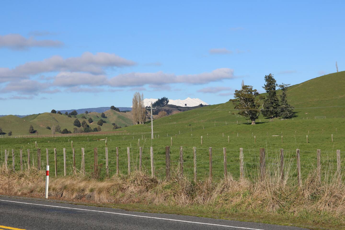 Buskwood Farm Stay 5