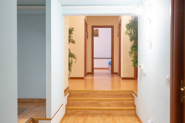 SES12 [Loreto- Duomo] • Central • Big • MM1 gallery image 3