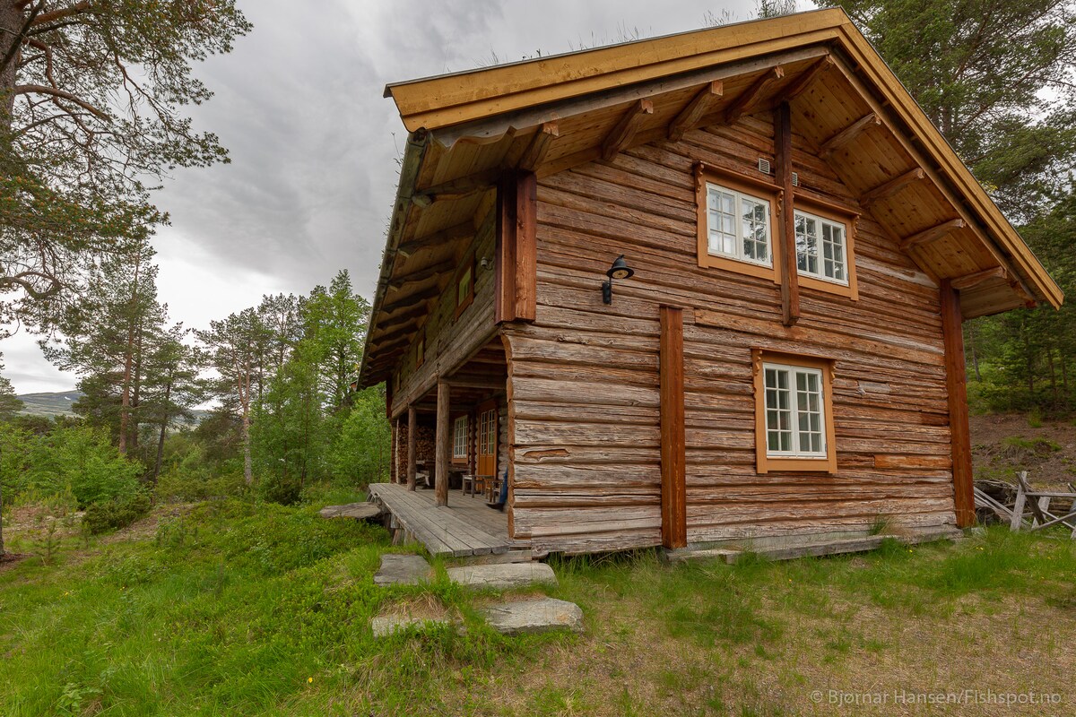 A spacious wooden cabin stands beside a grassy area, showcasing a traditional log structure and a gabled roof. Large windows provide ample natural light indoors. A covered porch is visible, furnished with a table and chairs, offering a spot to enjoy the surrounding greenery.