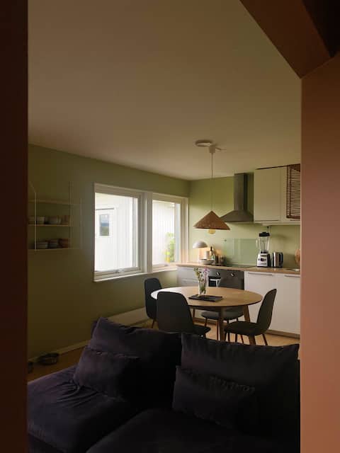 Cozy apartment in Lillestrøm,free parking, sleep 3