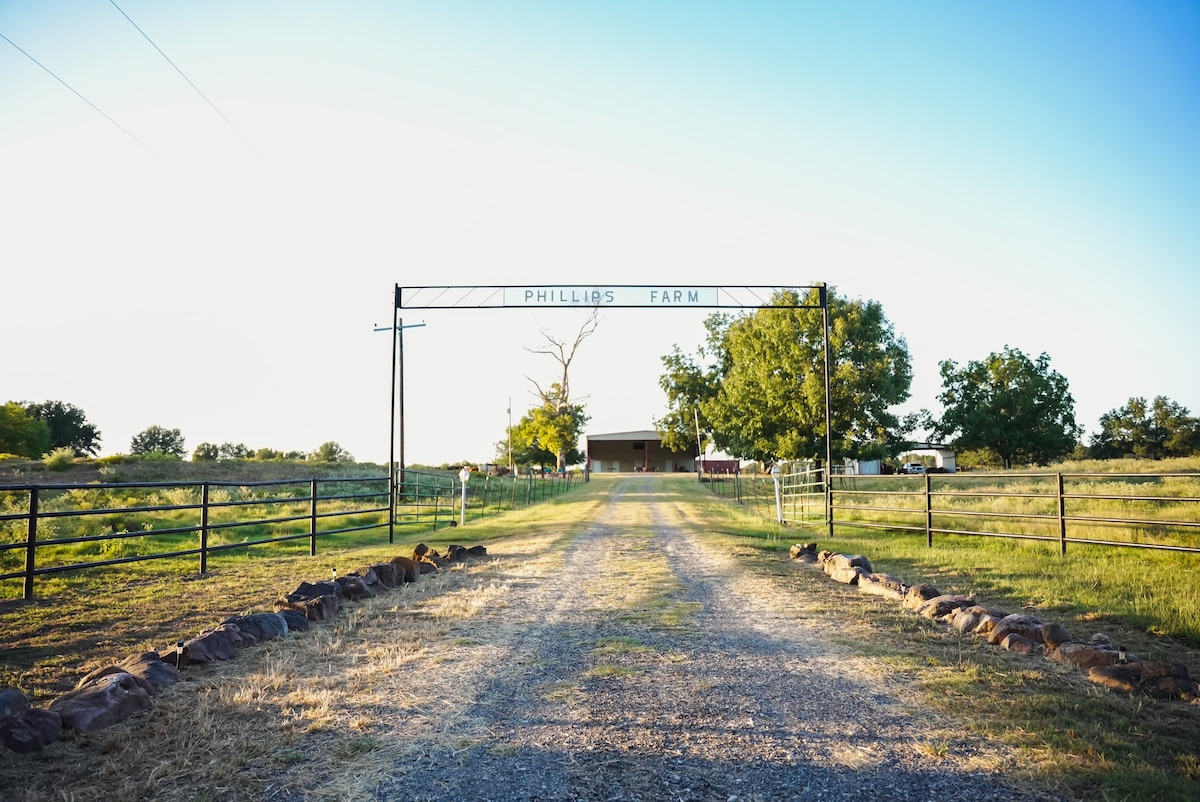 An inviting gravel driveway leads up to the entrance of Phillips Farm, framed by lush greenery and a wrought iron gate bearing the name 'Phillips Farm.' The scene is bathed in soft sunlight, emphasizing the open landscape surrounding the farmhouse.