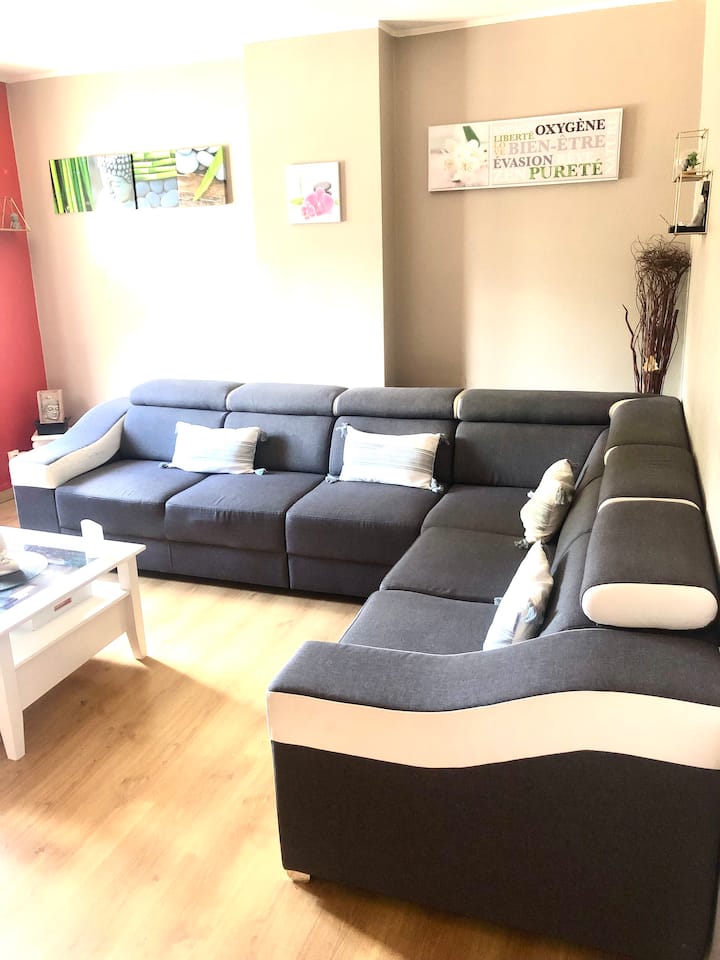 Duplex Spacieux Et Agréable.a 10 Minutes De Lille - Villeneuve-d'Ascq