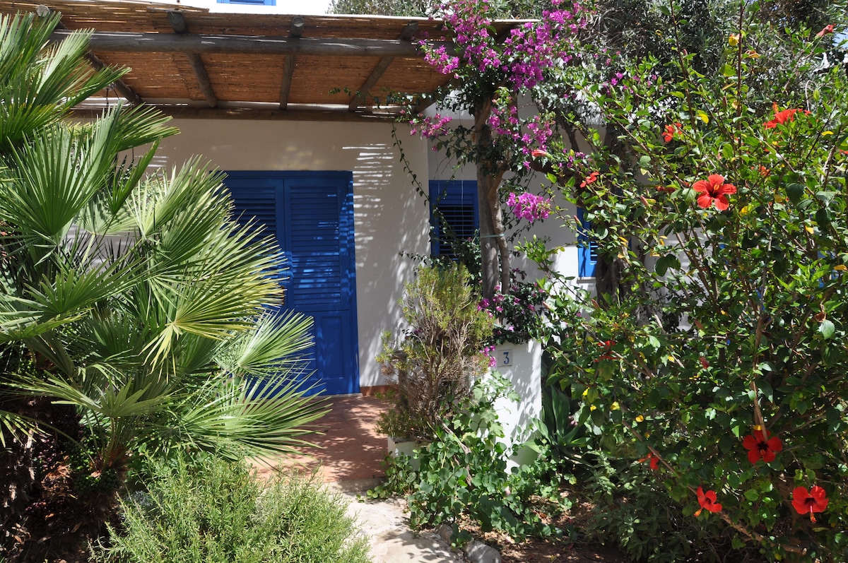 The entrance is framed by lush greenery and vibrant flowers, showcasing splashes of color against a backdrop of natural beauty. A light blue door is visible, adding a refreshing accent to the serene environment. The pathway is bordered by tropical plants, enhancing the inviting entrance.