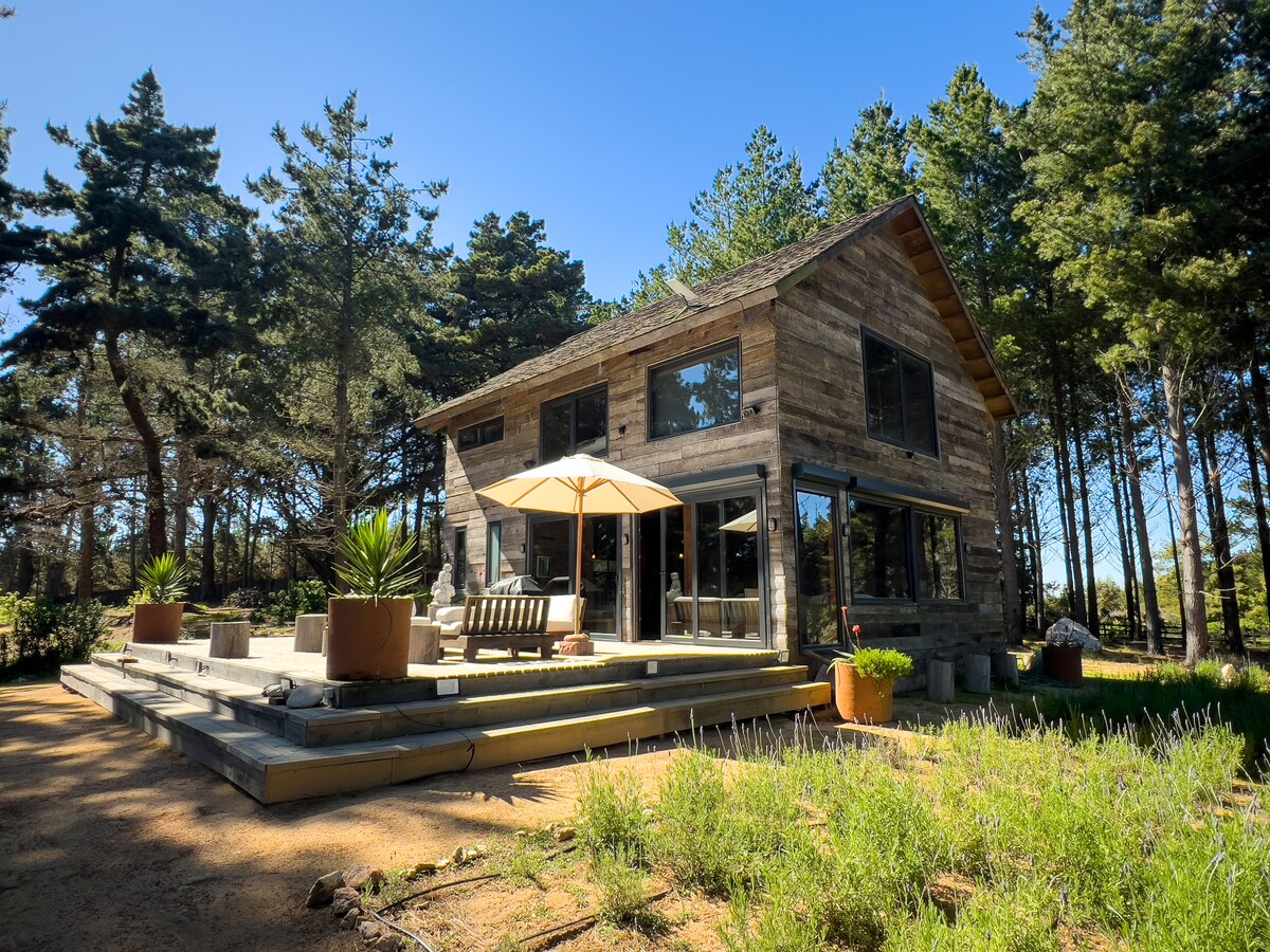 The exterior of a wooden house is set amongst tall trees, featuring large windows and a covered porch. A sun umbrella shades an outdoor seating area, complemented by potted plants. The natural surroundings highlight the tranquil setting of the property.