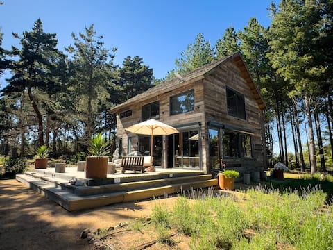 Dream House in the Forest Ocean View!