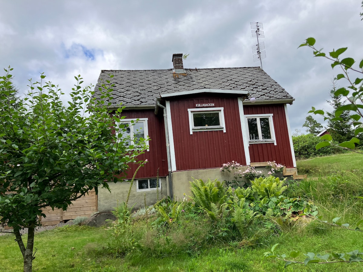 A red wooden cabin is surrounded by greenery, featuring a grassy area and shrubs. The cabin has a traditional gabled roof and multiple windows, allowing natural light to enter. A small flower bed is visible near the entrance, contributing to the peaceful setting.